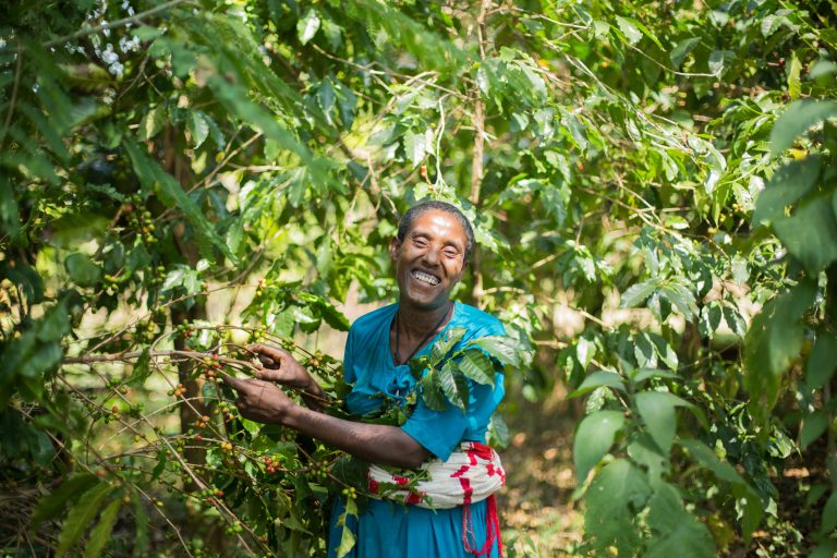 Ethiopia - Jabi Tehnan - WaterAid (2)