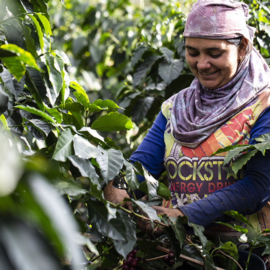 1665003979-fb3bc950f0cba0fadd593f3d6728d9aa652f2ffc_1626444682_Maria